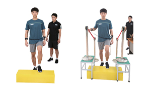 스탭박스에 오르락 내리락 하는 실시자